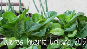 talleres-huerto-urbano-2015