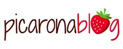 logo-picaronablog