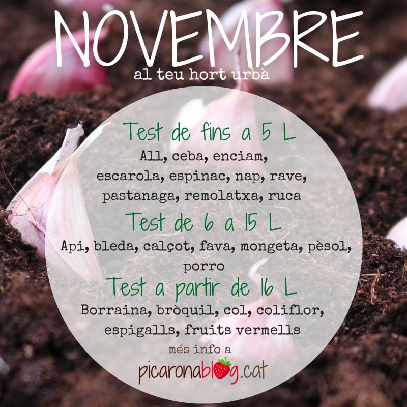 novembre-calendari-hort