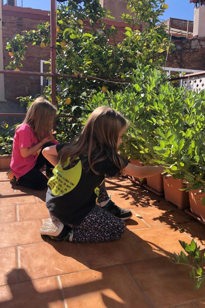 hort-infantil-balco